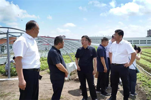 1631586375988760.jpg 9.jpg