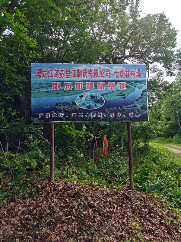 1631586444342029.jpg 34.jpg