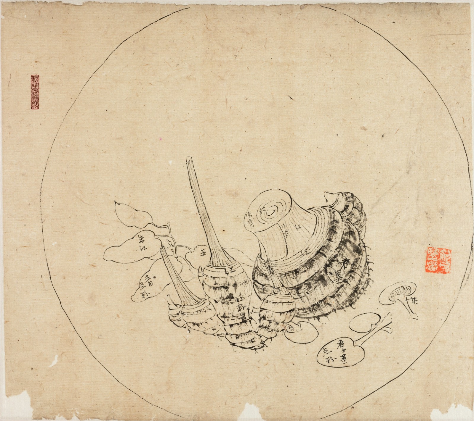 1633068696744658.jpg 1633068696744658.jpg