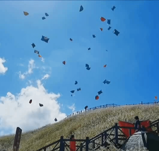 5.gif