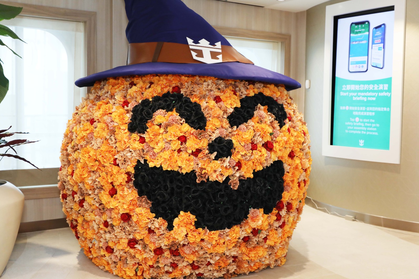 1634374734453191.jpg 1634374734453191.jpg