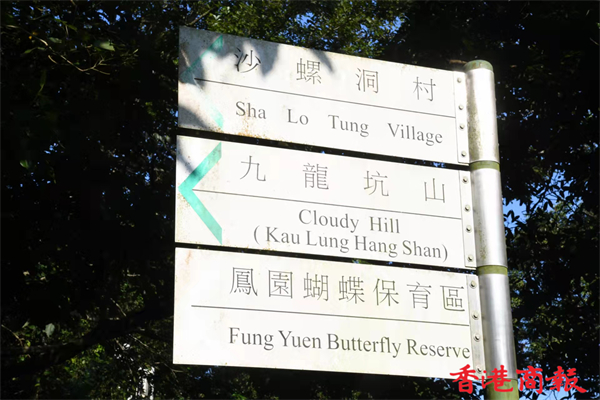 1635410935517643.jpg 2.jpg