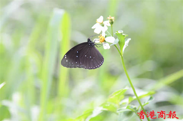 1635410994650501.jpg 7.jpg