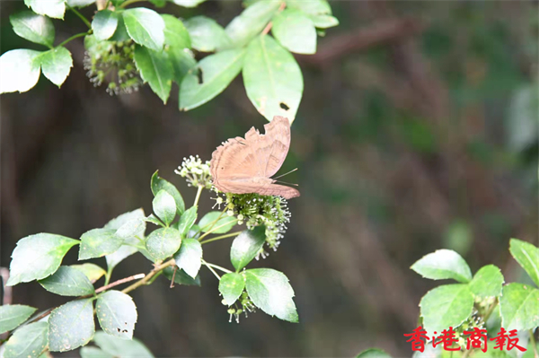 1635411059210440.jpg 13.jpg