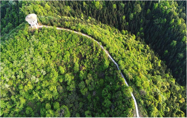 图三 天花井国家森林公园.jpg