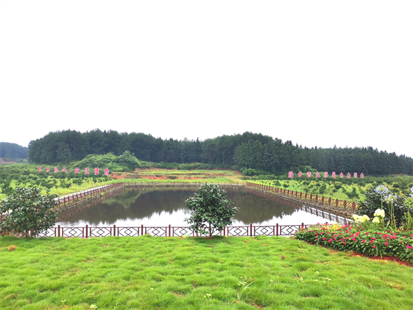 图3：武宁县澧溪镇北湾半岛情缘谷景区绿意盎然.jpg