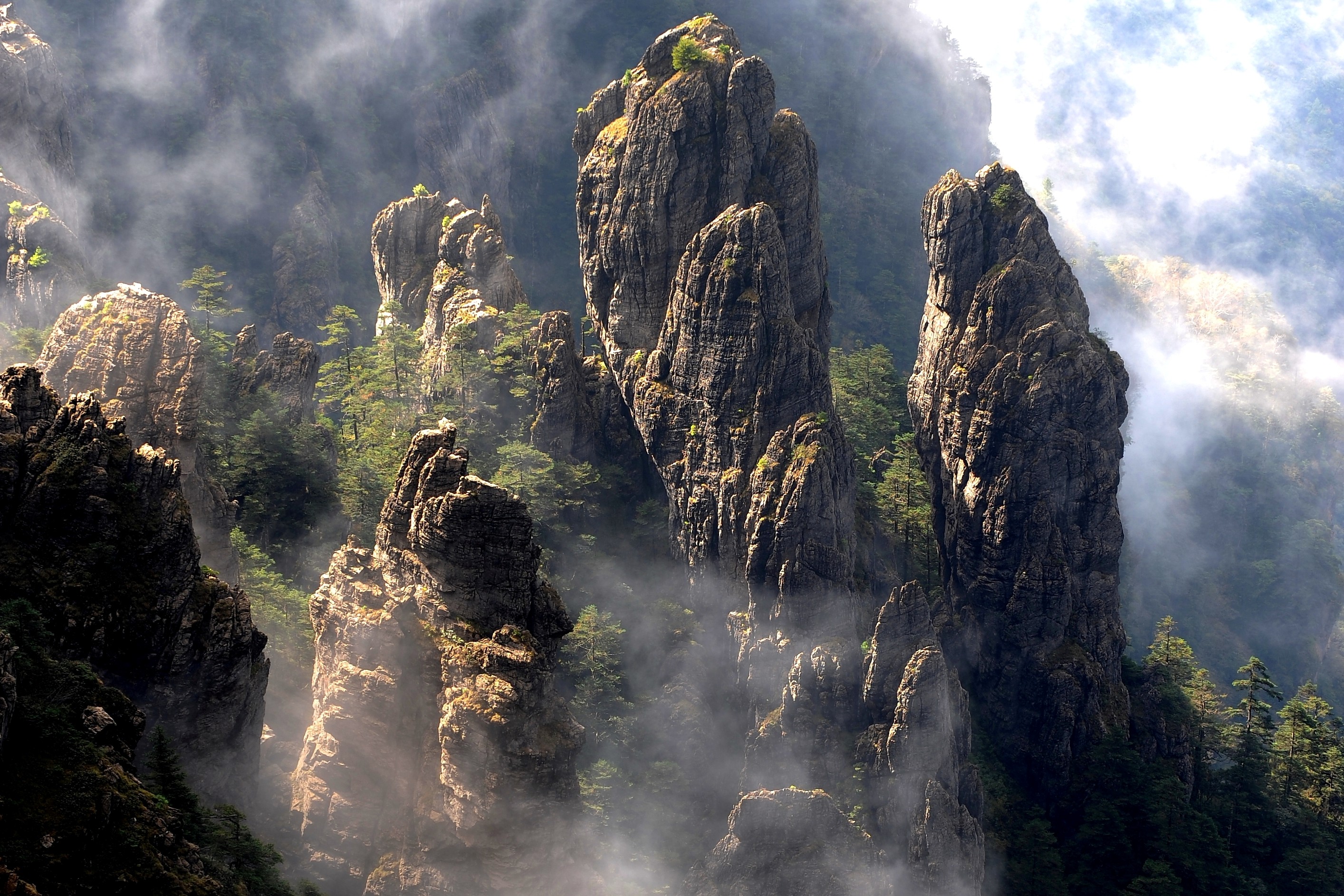 2.神农谷石柱林 神农架国家公园供图.JPG
