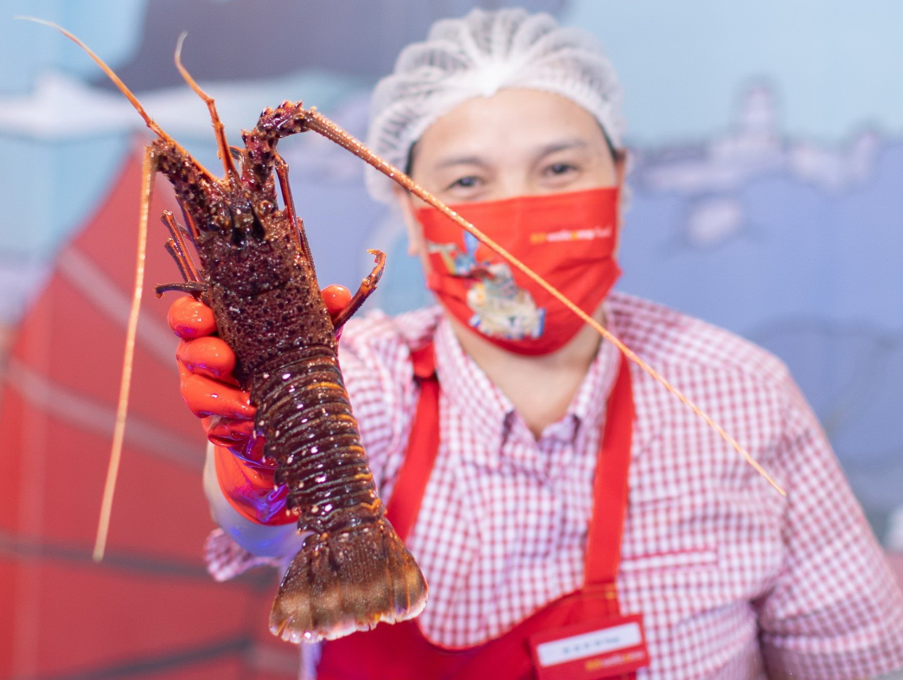 Wellcome Fresh上水新店期間限定$188一斤重澳洲野生龍蝦.jpg