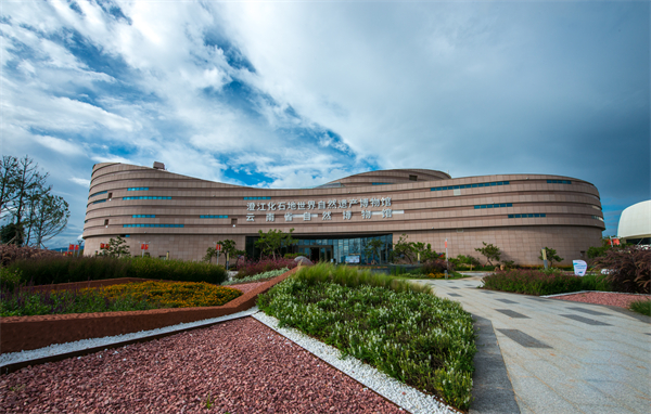 yn071805-3.jpg