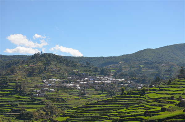 yn072203-3.JPG
