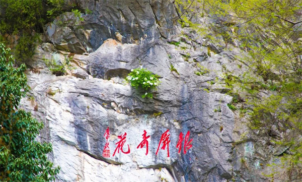 4.安徽巢湖與潁東景區門票互免互惠.jpg