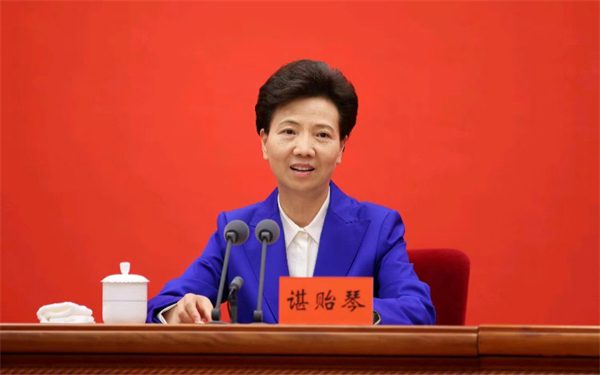 图:中共贵州省委书记、省人大常委会主任 谌贻琴.jpg