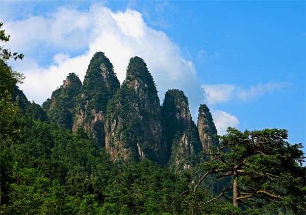 图3：上犹县五指峰，因山形状似五指而得名 肖红缨摄.jpg