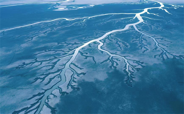 图三 鄱阳湖提前进入枯水期.jpg