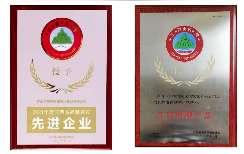 图四 东林雨露获得“江西名牌产品”称号.png