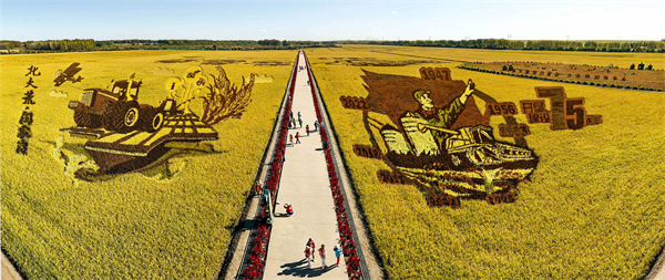 图一：游客在北大荒集团闫家岗农场有限公司农业现代化示范区游览。计世伟 摄.jpg