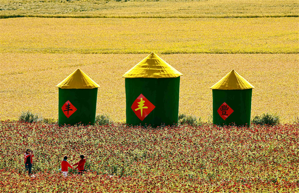 图三：游客在北大荒集团闫家岗农场有限公司农业现代化示范区拍照留念。蔡富春 摄.jpg