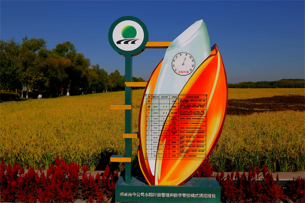 图七：先进的科学栽培技术手段也成为靓丽风景。王亚光 摄.jpg