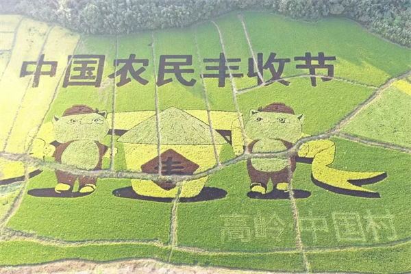 图三 高岭·中国村五彩稻熟庆丰收.jpg