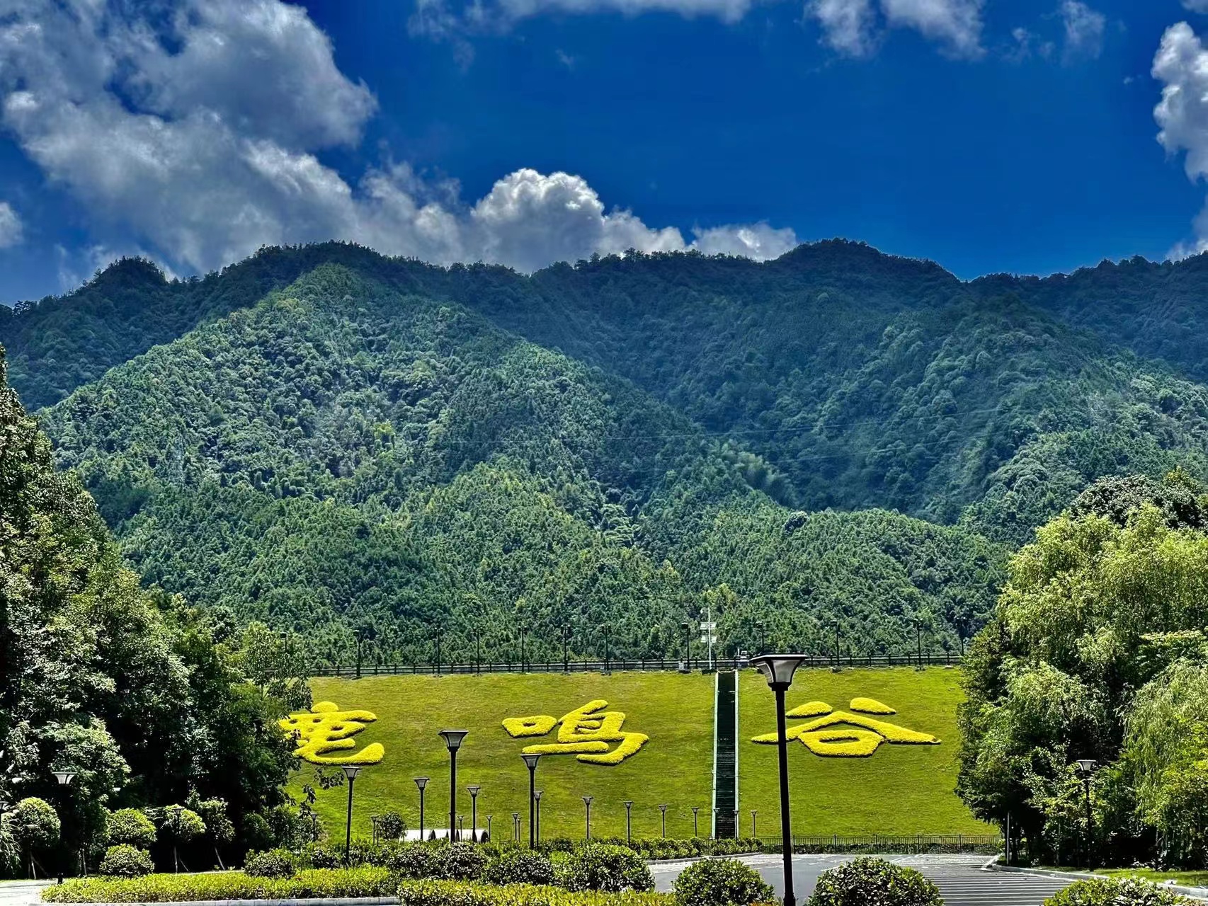 图五 鹿鸣谷国家4A景区.jpg