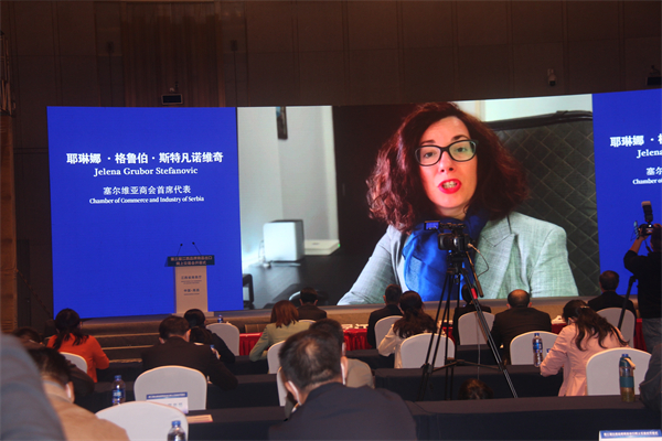图三 塞尔维亚工商会首席代表耶琳娜·格鲁伯·斯特凡诺维奇视频致辞.JPG