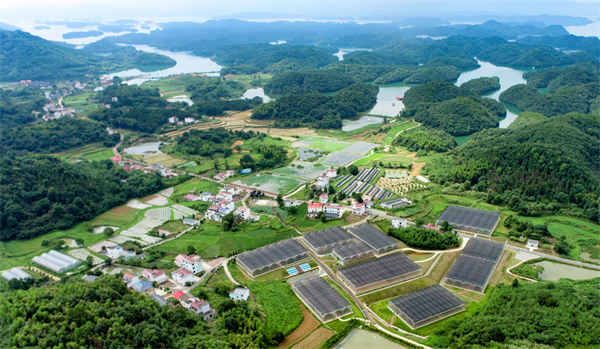 图四 武宁县官莲乡省级重点乡村振兴示范村 东山村全貌.jpg