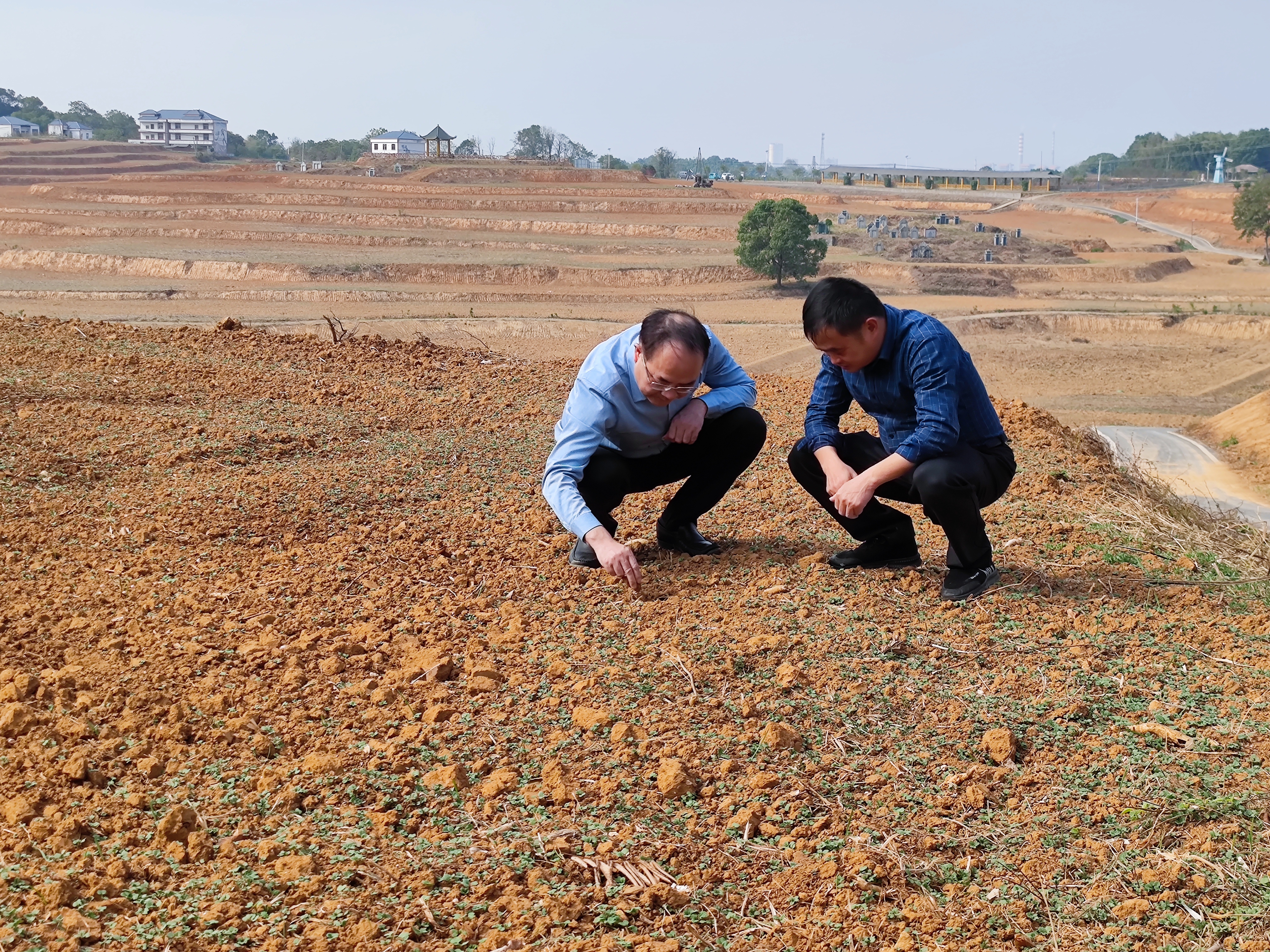 图二 市农业农村局领导实地察看旱情.jpg