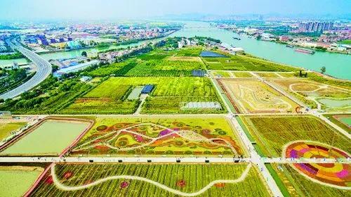 图 1、发展都市现代农业,南沙争当排头兵(1).jpg