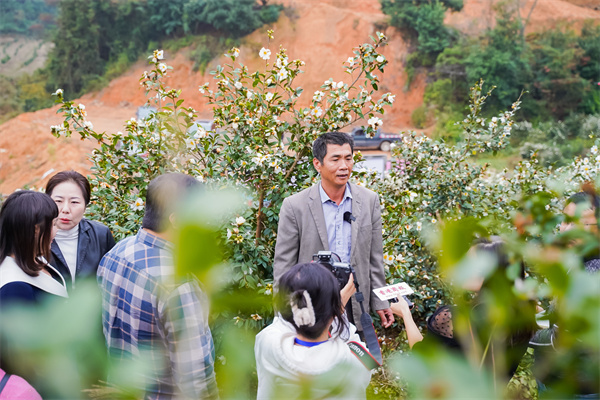 配图3:种植大户欧阳邦忠向媒体记者介绍油茶基地情况.jpg