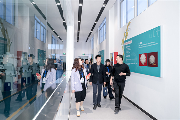 图五 采风团参观鲁花（万年）生产基地.JPG