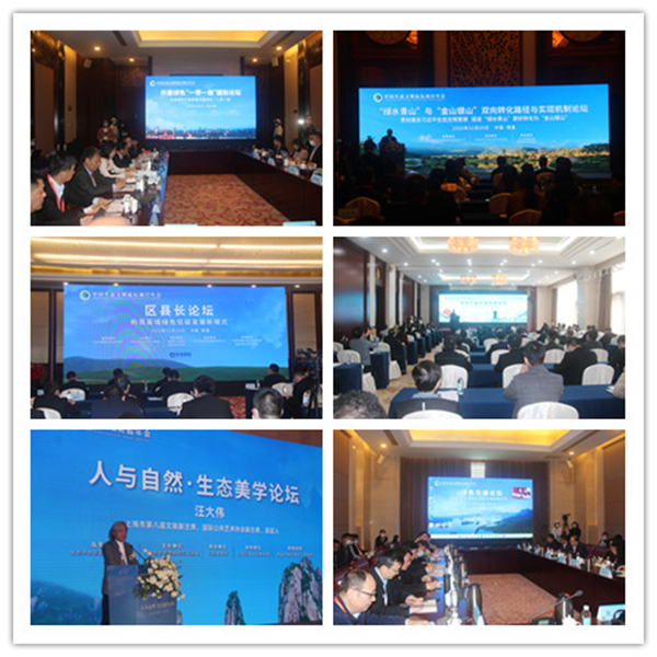 图三 年会共举办12项平行分论坛.jpg