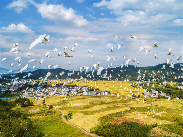 ahbw1126at-2 - 复件(1).jpg