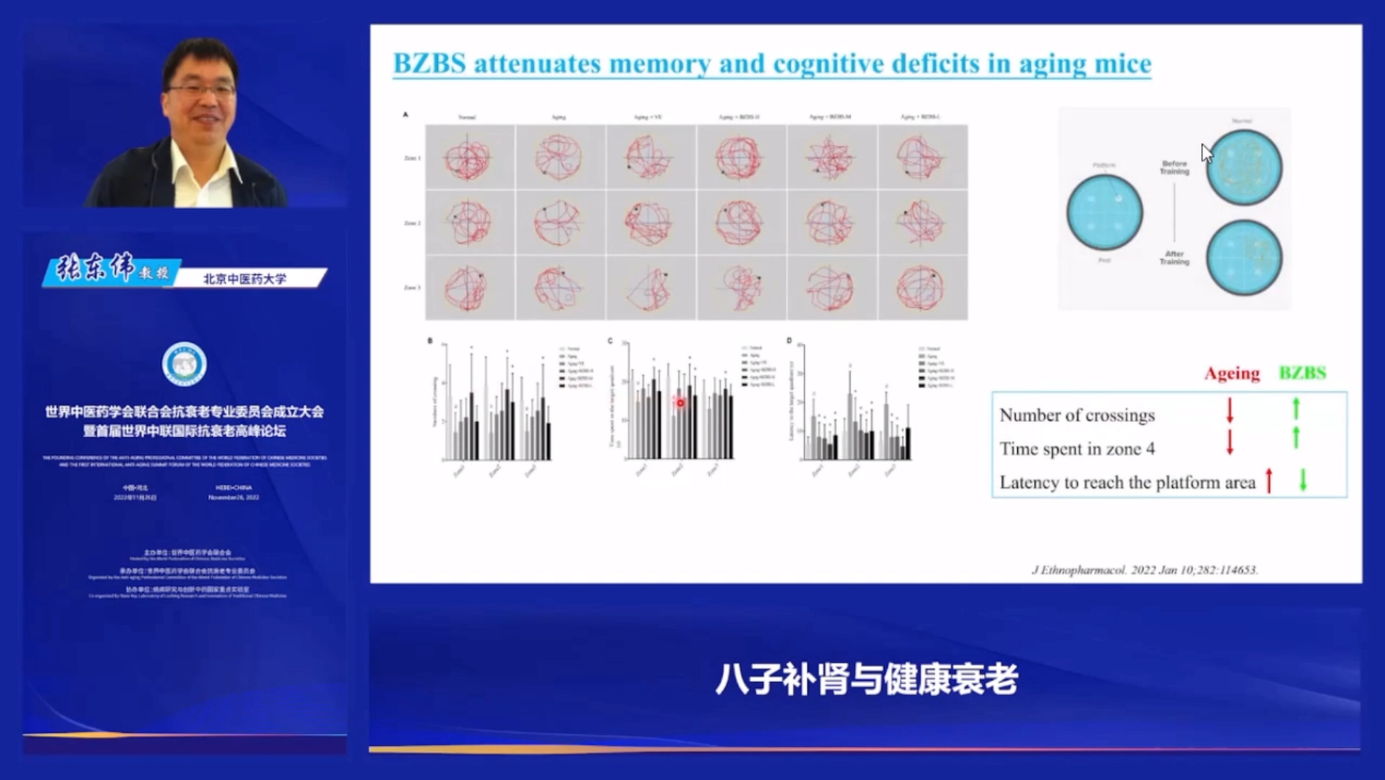 图片5：北京中医药大学张东伟教授作题为《八子补肾与健康衰老》的学术报告。.png