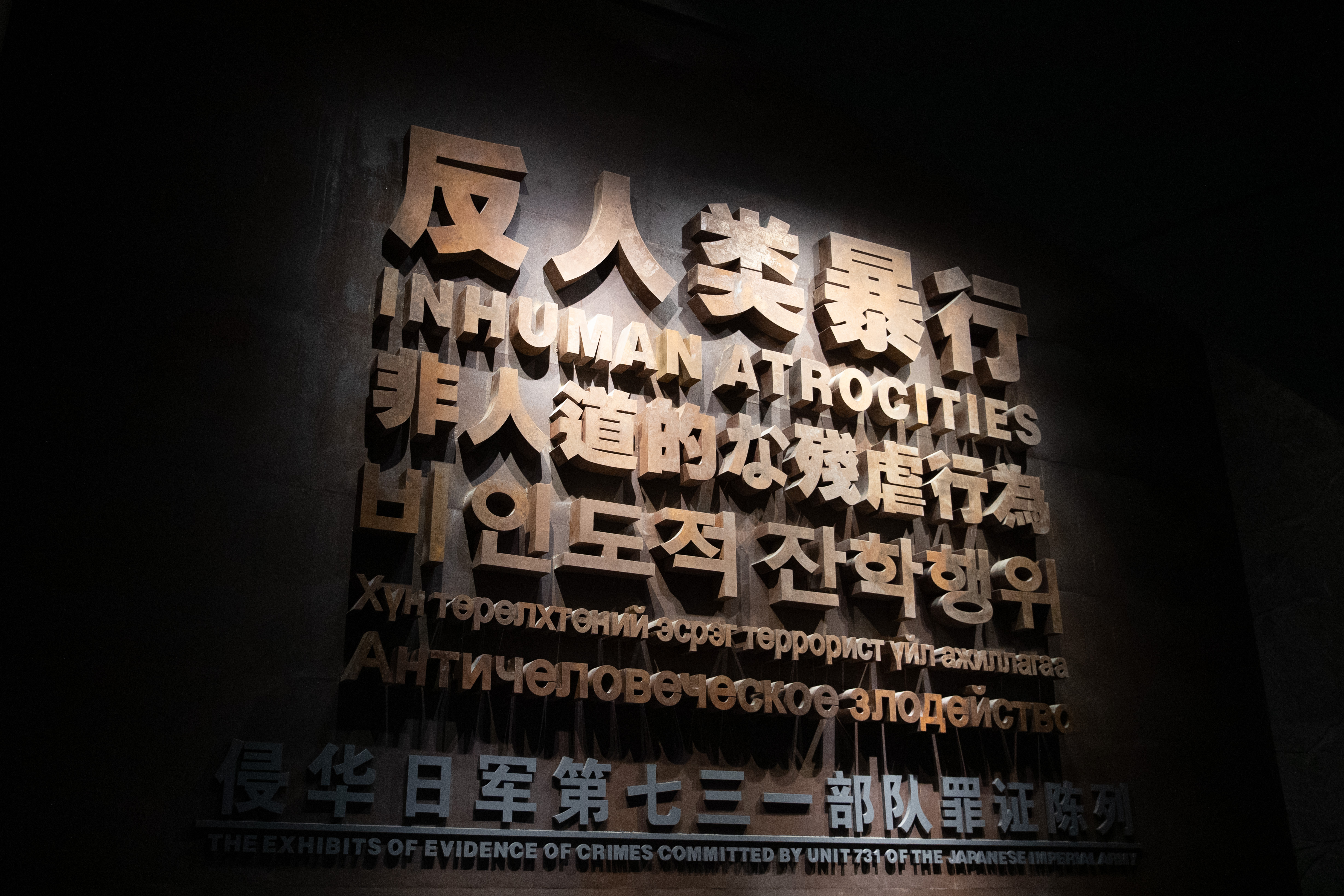 6396f4ce0cf291d564786797 (1).jpg