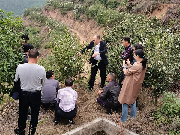 图3：赣州市共组织开展油茶改造提升科技培训、示范基地挂点指导、油茶送科技下乡等活动.jpg