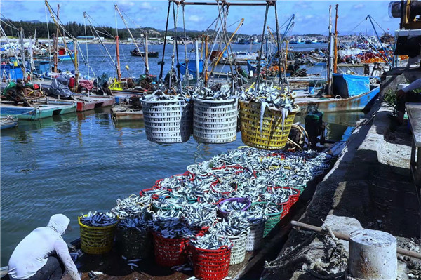 圖4：詔安梅嶺鎮「開漁歸來」（康君孝 攝）.jpg