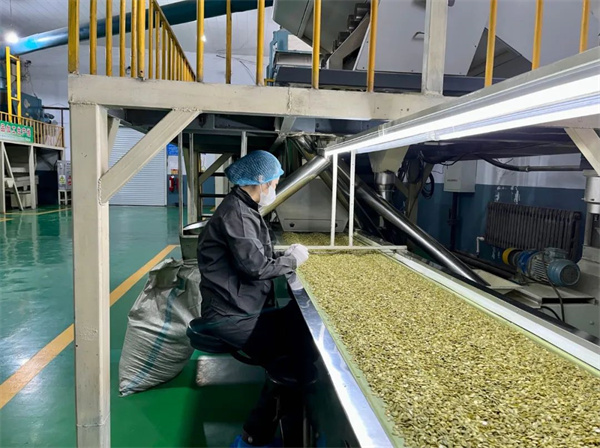 微信图片_20230110104510 (1).jpg