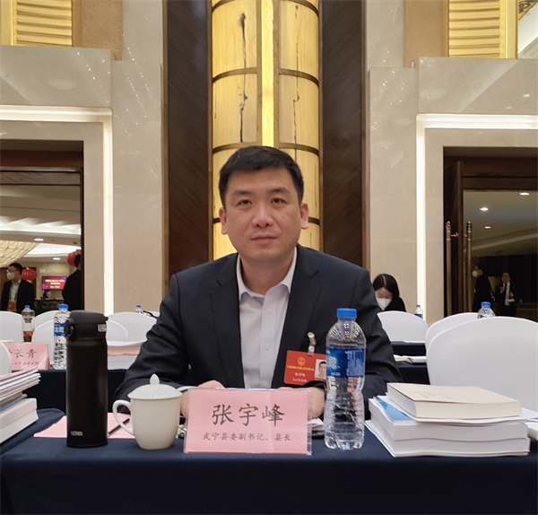 图一 武宁县委副书记、县长张宇峰.jpg