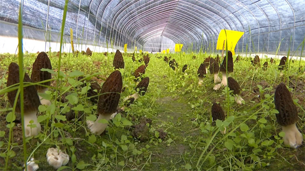 微信图片_20230316084245 (1).jpg