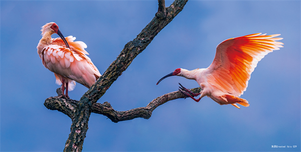 图一 - 复件(2).jpg