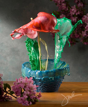 美摄影艺术家拍摄“液体花卉”惟妙惟肖1.jpg