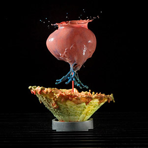 美摄影艺术家拍摄“液体花卉”惟妙惟肖6.jpg