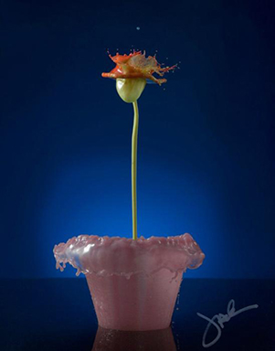 美摄影艺术家拍摄“液体花卉”惟妙惟肖4.jpg