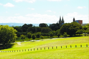 走进南澳 触摸世界最古老西拉葡萄藤1.jpg