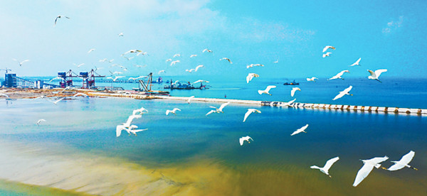 環保設計達世界最高標準 湛江臨港產業綠色發展和諧共生