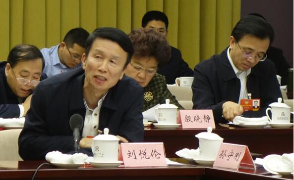 刘悦伦：要防止地方债隐性大幅增长