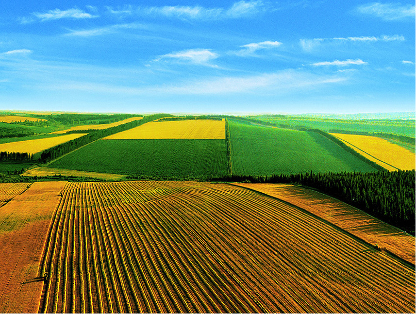 严控产品质量  为品牌提供保障