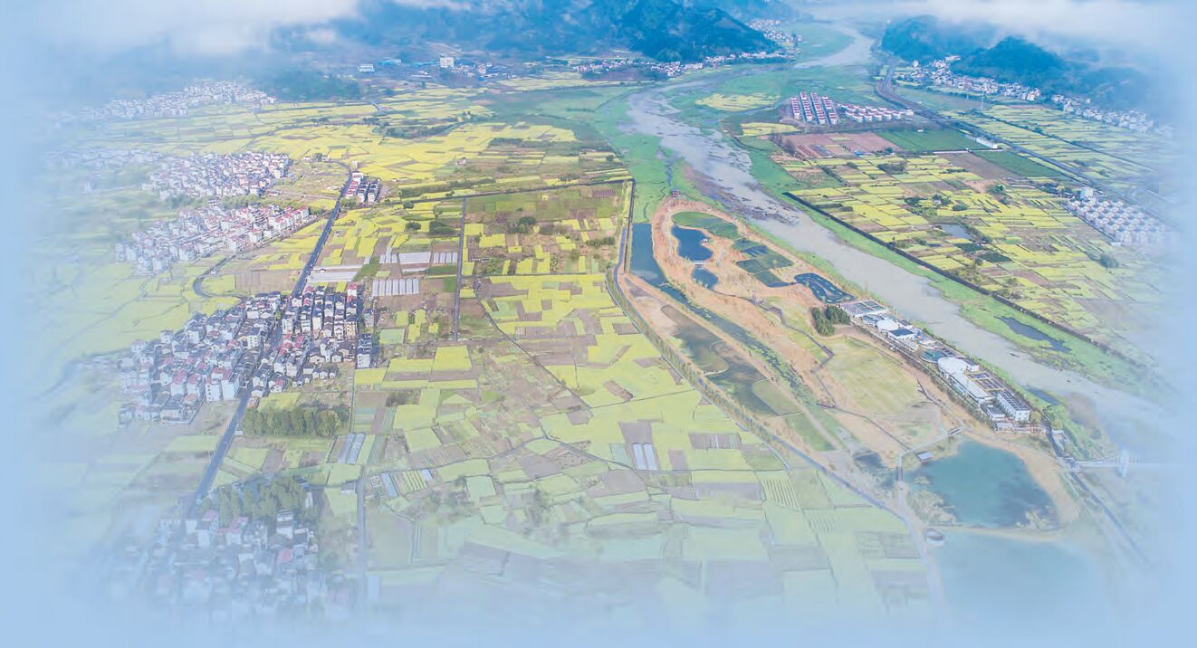 從家庭責任制到鄉村振興 農村土改撐起國民經濟變革