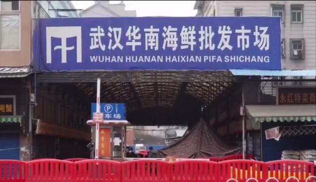 深圳音乐人创作歌曲声援武汉