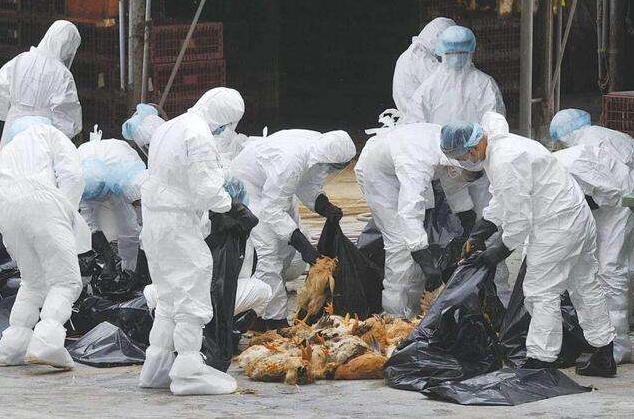 【财经纵横】金融海嘯2.0大難臨頭